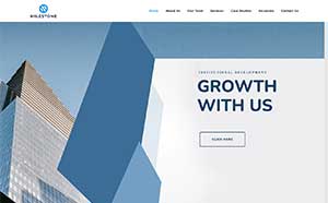 Website development with WordPress